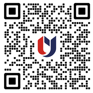 香港教育大学2026内地本科招生简章重磅发布！